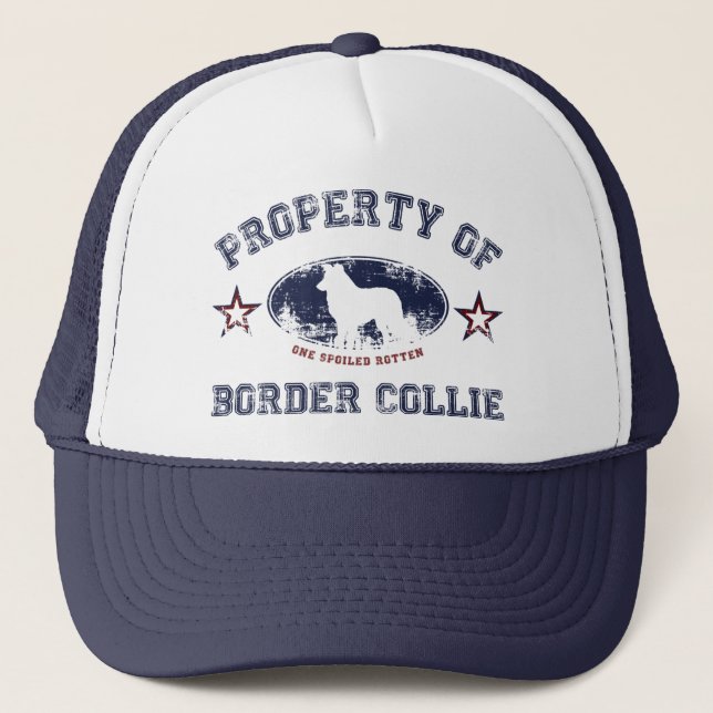 Boné Border collie (Frente)