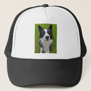 Boné Border Collie