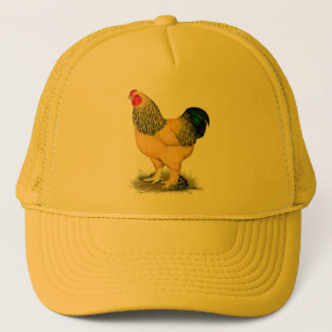 Boné Brahma: Buff Rooster