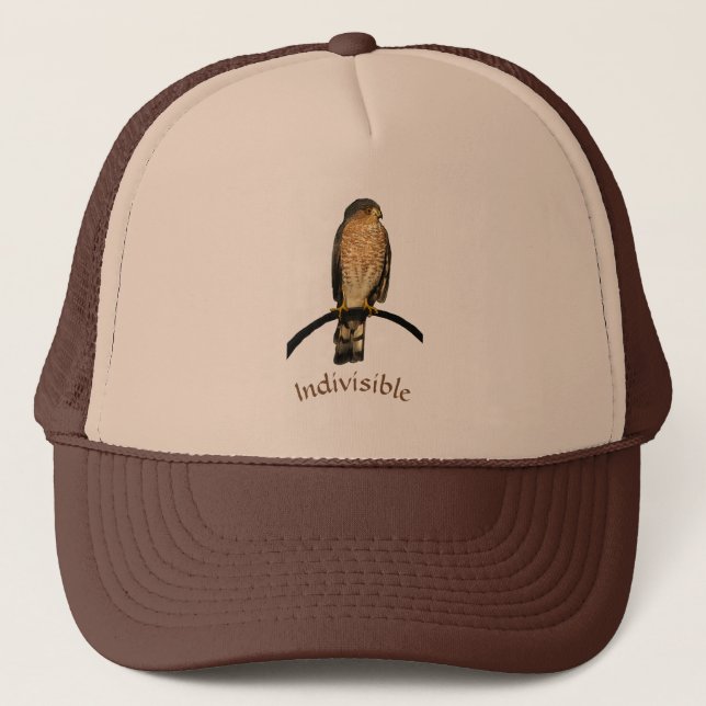 Boné Brown Hawk Hat Indivisivel (Frente)