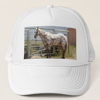 Boné Brown manchou o cavalo do Appaloosa