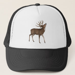 Boné Buck Deer Stag Willife Animal Nature Antlers