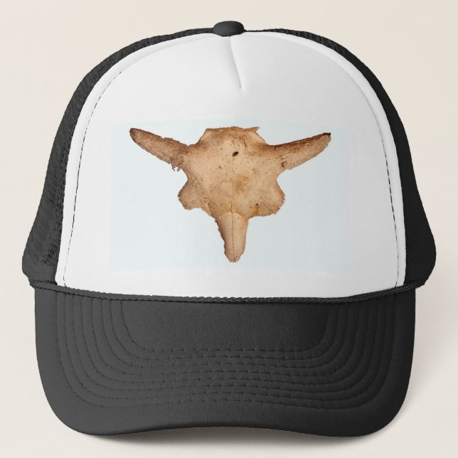Boné Buffalo Skull (Frente)