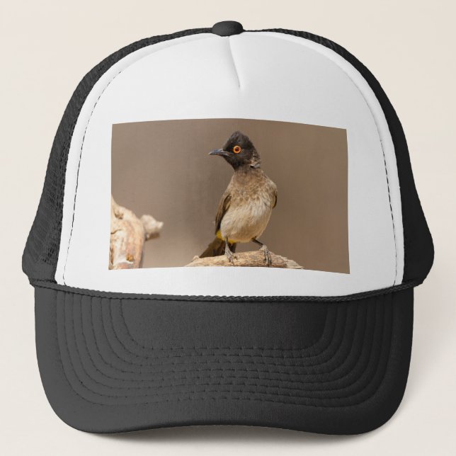 Boné Bulbul Africano de Olhos Vermelhos (Frente)