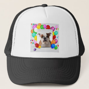 Boné Bulldog com Balões Coloridos Tema de Aniversário