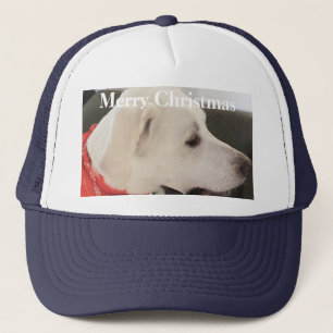 Boné Cachorro Branco Bonito Vestindo o Natal do Scarf