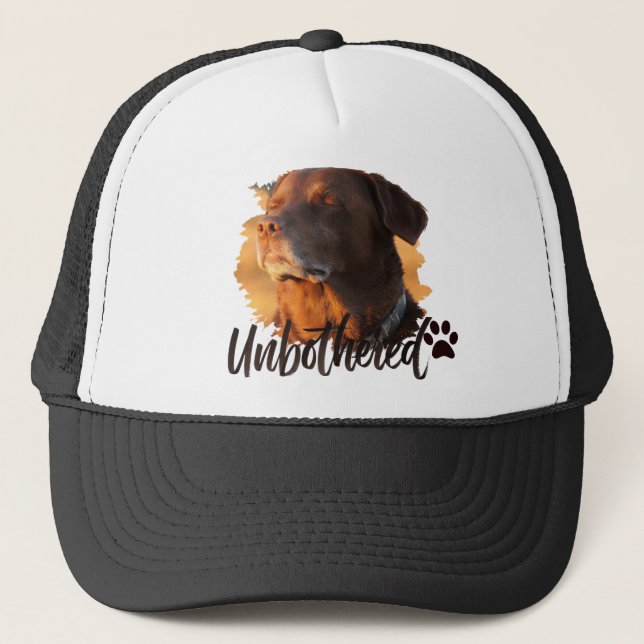 Boné Cachorro Dourado Impassível – Minimalista Premium  (Frente)