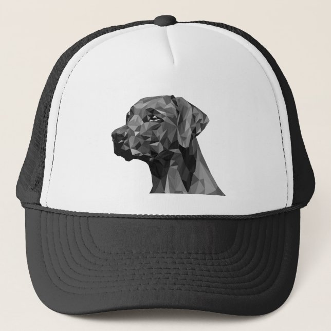 Boné Cachorro Geométrico Cinza (Frente)