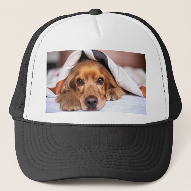 Boné Cachorro Inglês (Frente)