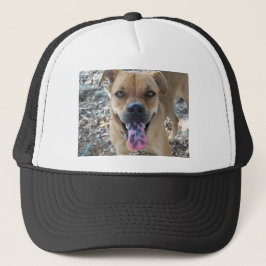 Boné Cachorro marrom feliz com língua manchada