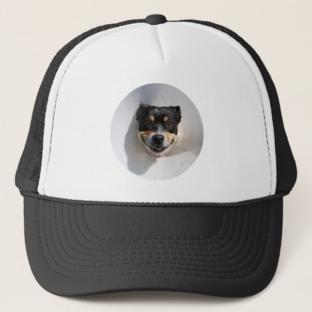 Boné Cachorro sorridente engraçado (Frente)