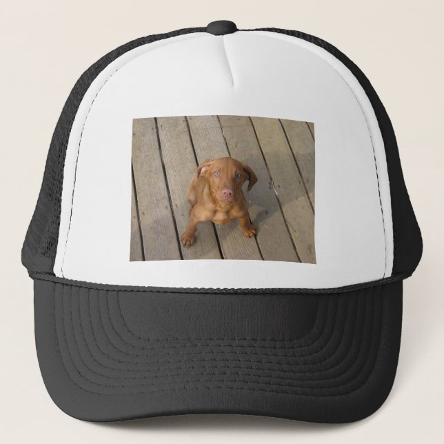 Boné cachorro vizsla (Frente)