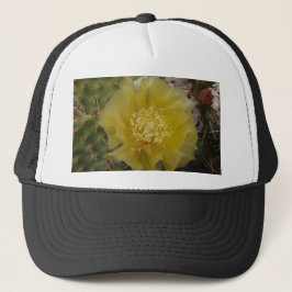 Boné Cacto Amarelo em Flor
