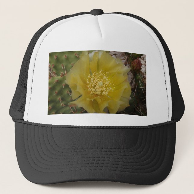 Boné Cacto Amarelo em Flor (Frente)