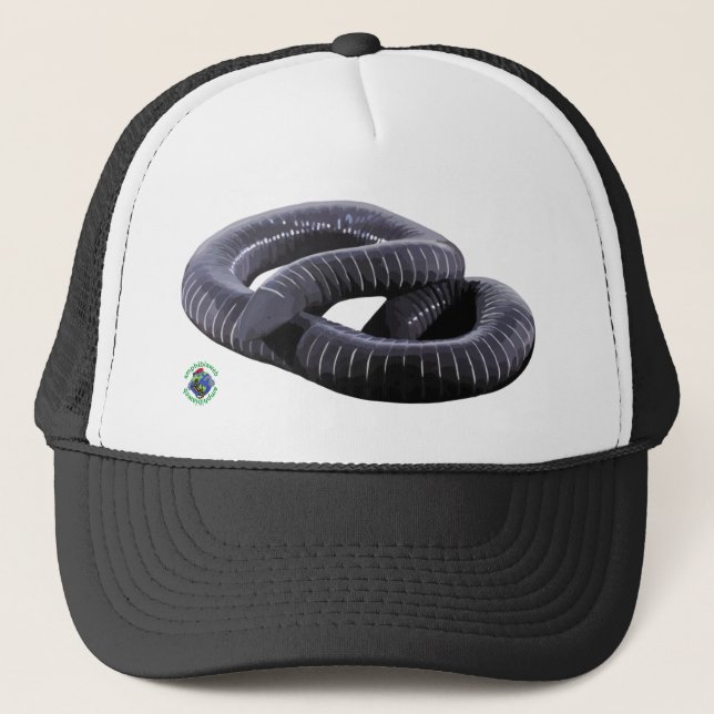 Boné Caecilian Trucker Hat (Frente)