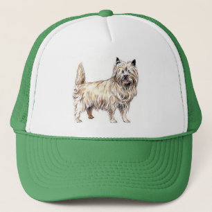 Boné Cairn Terrier