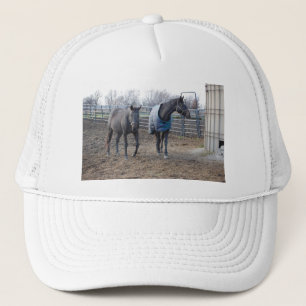 Boné Camaradas de Cavalo de Fazenda