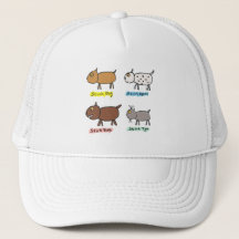 Caninos Engraçados