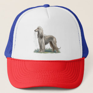 Boné Cão Afegão
