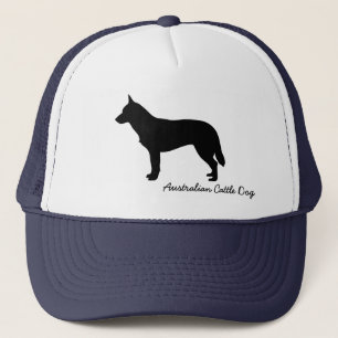 Boné Cão australiano do gado
