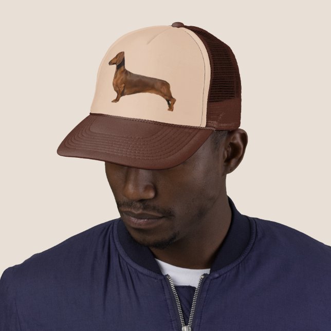 Boné Cão-de-cajado-marrom-bonito (In Situ)