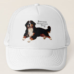 Boné Cão de Montanha Bernês