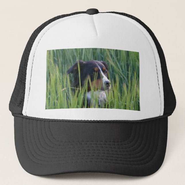 Boné Cão de Ovelha na Grama (Frente)