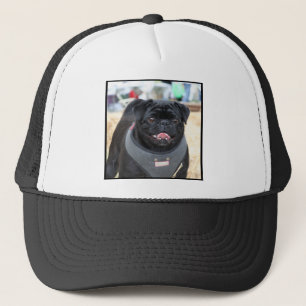 Boné Cão preto do Pug