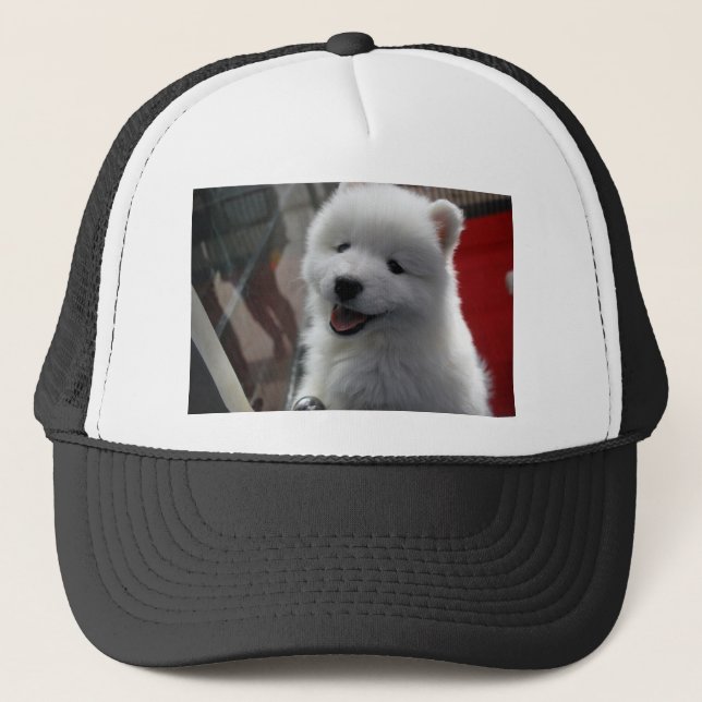 Boné Cão Samoyed (Frente)