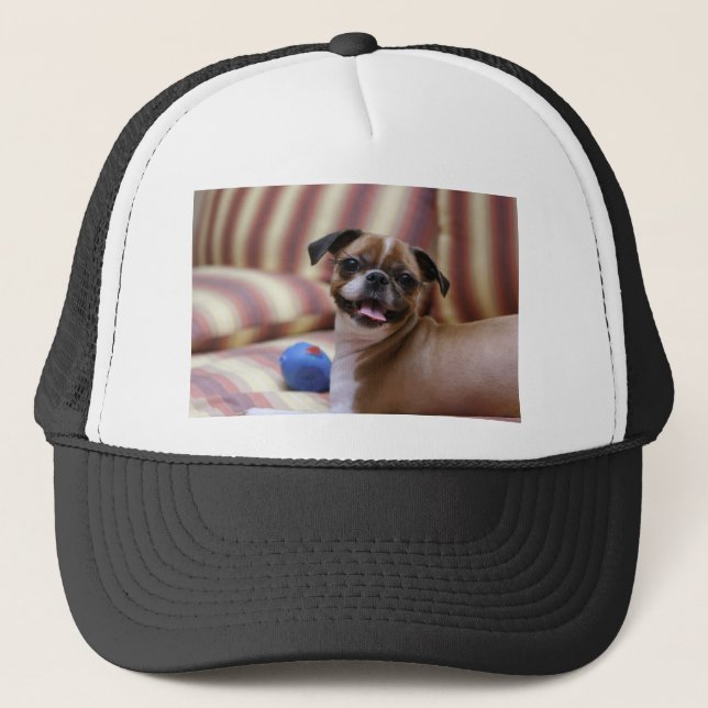 Boné Cão super bonito com sua bola favorita (Frente)