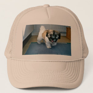 Boné cãozinho 2.png