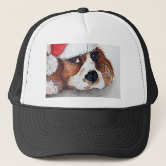 Boné cãozinho espanhol