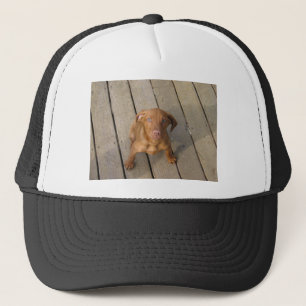 Boné cãozinho vizinho