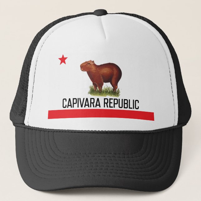 Boné Capivara Republic - NarliStuff (Frente)
