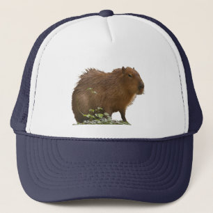 Boné Capybara