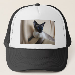 Boné Cara lindo do gato Siamese