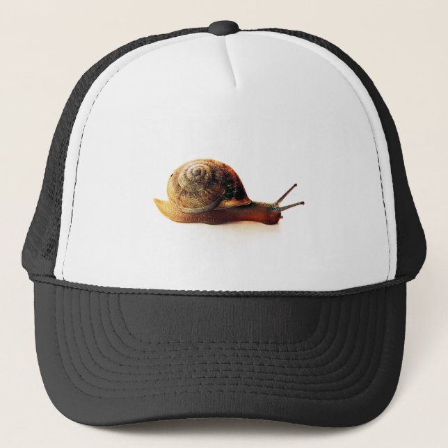 Boné Caracol (Frente)