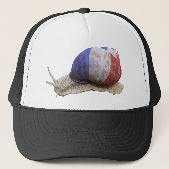 Boné Caracol francês da bandeira (Frente)