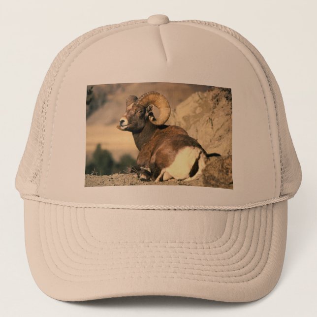 Boné Carneiro Bighorn (Frente)