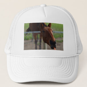 Boné Carrot Loving Horse,