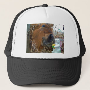 Boné Cavalo do coelhinho da Páscoa e do Brown