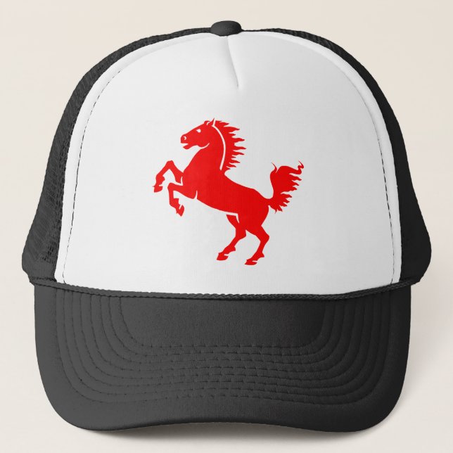 Boné Cavalo Estalhão Equestre Equestre (Frente)