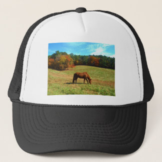 Boné Cavalo Vermelho Castanho, céu azul Teal