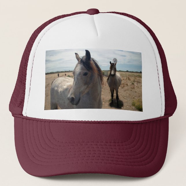 Boné Cavalos Árabes Específicos, (Frente)