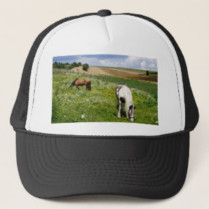 Boné Cavalos de pasto