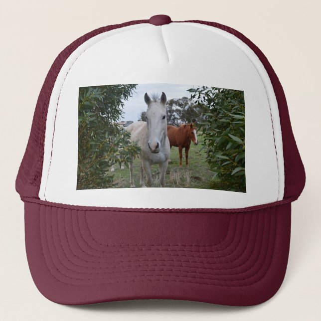 Boné Cavalos De Peekaboo Castanho E Branco,- (Frente)