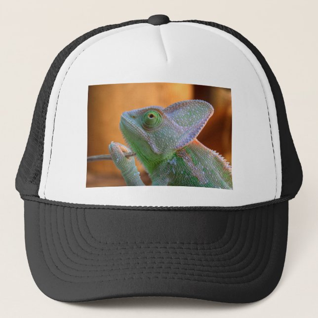 Boné Chameleon velado (Frente)
