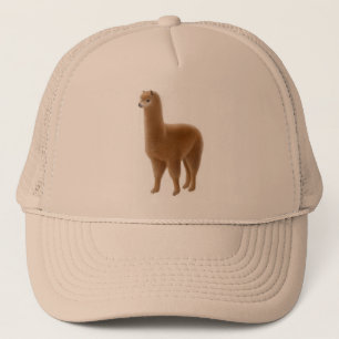 Boné Chapéu amigável da alpaca de Brown