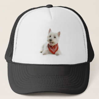 Boné Chapéu/boné de Westie