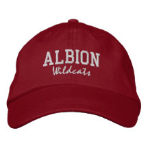 Chapéu de Baseball Bordado do Segundo grau Albion
